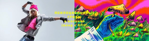 ПСИЛОЦИБИНОВЫЕ ГРИБЫ Белокуриха