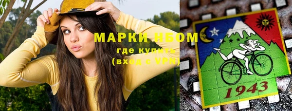 ПСИЛОЦИБИНОВЫЕ ГРИБЫ Белокуриха