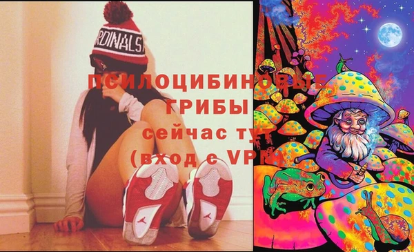 ПСИЛОЦИБИНОВЫЕ ГРИБЫ Белокуриха