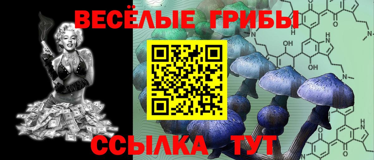 Псилоцибиновые грибы ЛСД Вятские Поляны