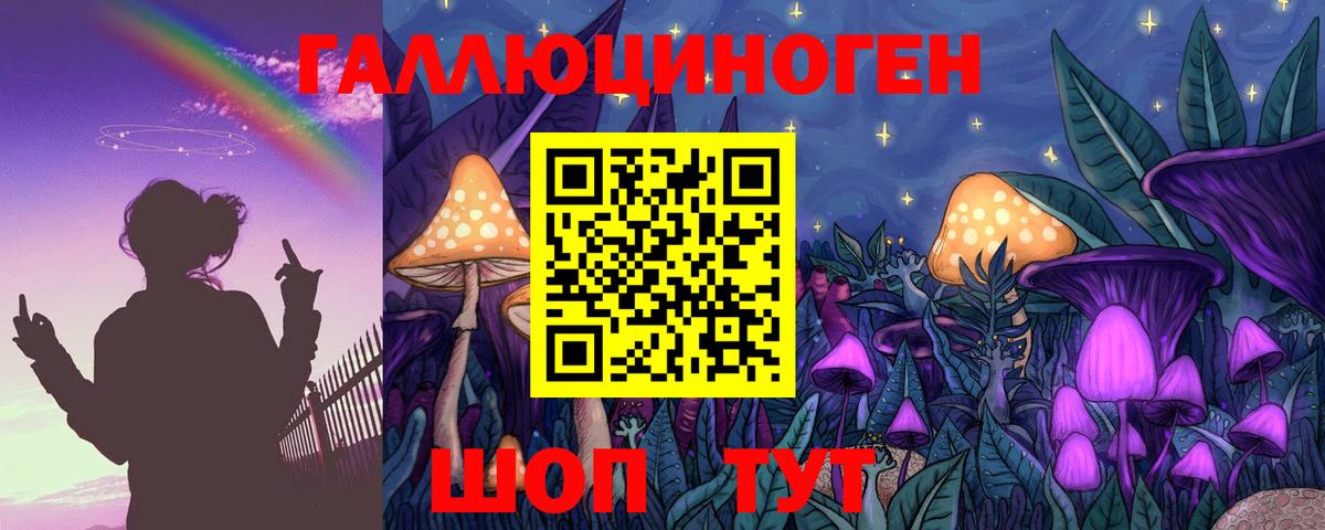 Вятские Поляны  Галлюциногенные грибы мухоморы  Вход с VPN 
